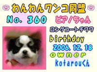 ワンワン：360.jpg