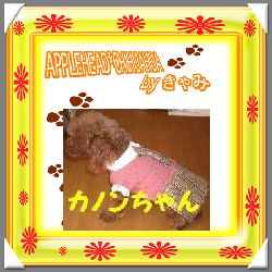 かのん