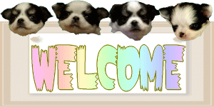 welcome.gif