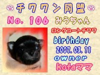 チワワン同盟：106.jpg