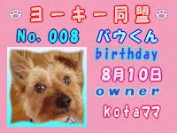 ヨーキー：008.jpg