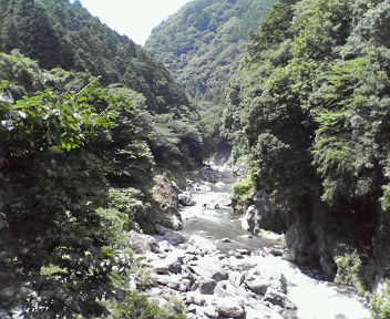 NEC_0282.JPG