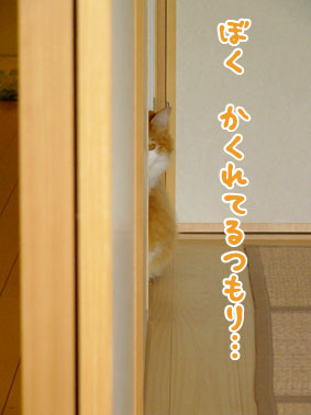 きみも、あやちい。