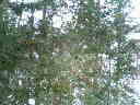 200602251233000.jpg