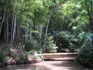 実篤　公園の池＆橋