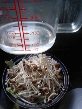 タジン鍋のおかず06