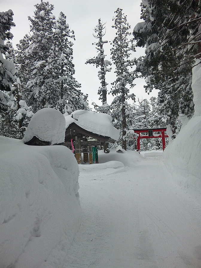 羽黒山の手水場と鳥居