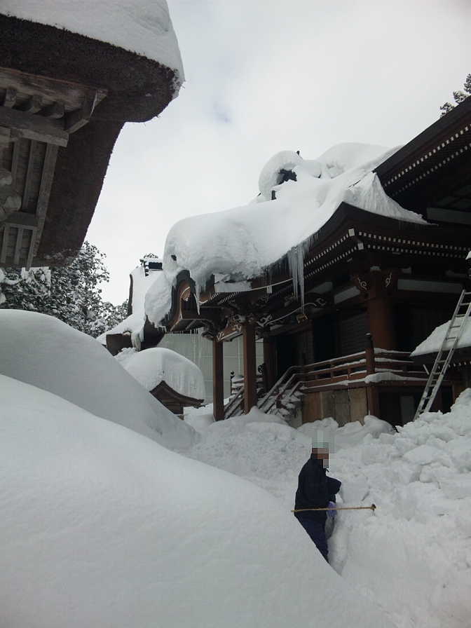 羽黒山の社殿と本殿