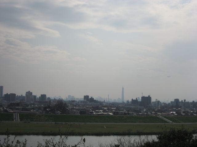 里美公園から見たスカイツリー