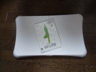 Wii Fit 002.jpg