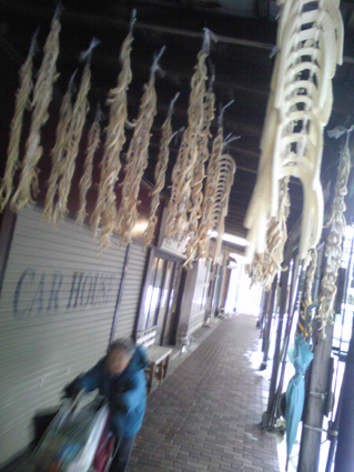 雁木下の干し大根01