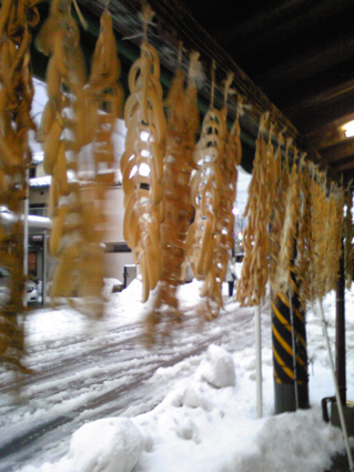 雁木下の干し大根02