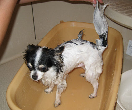 IMG_0322.jpg