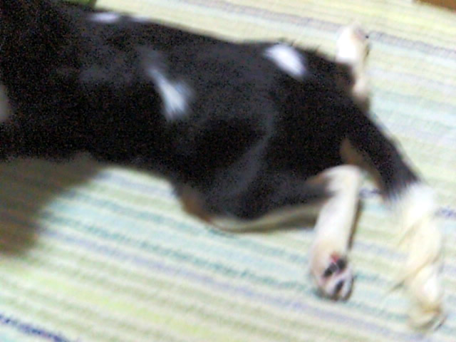 F1000108.JPG