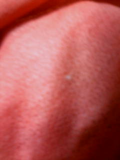 ピエロさんの福袋