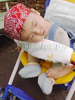 babycar2.jpg