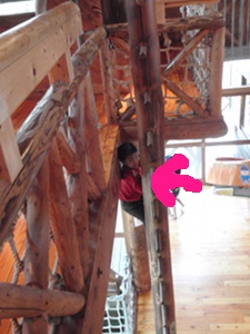 のぼれのぼれ！