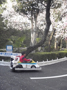 桜を撮りたかったのね