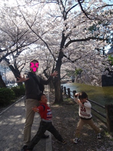 桜並木でゴーカイポーズ☆