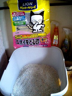 20090104003