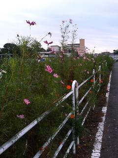 photo002.jpg