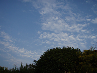 綺麗な空.jpg