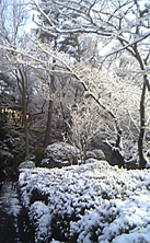 雪景色.jpg