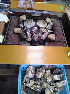 牡蠣やはまぐり、ホタテを炭火焼でたらふく食べました