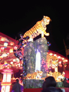 今年の干支、虎のランタン☆長崎ランタンフェスティバル