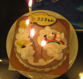 coco birthcake rousoku.JPG