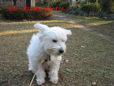 まだ寒い１.JPG