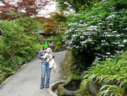 海蔵寺１.JPG