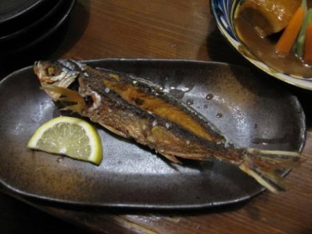 yosiya kamera 366.JPG