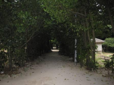 yosiya kamera 270.JPG