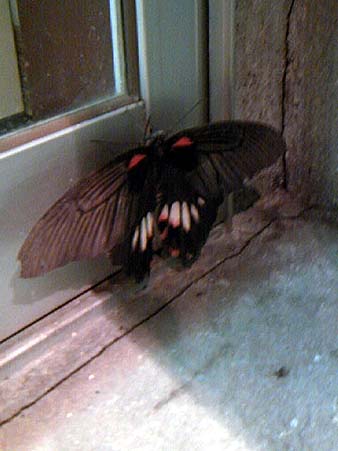 サイズ変更ウィザード-2.jpg