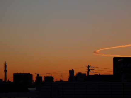 スカイツリーと元旦の空