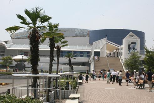 080810名古屋港水族館2