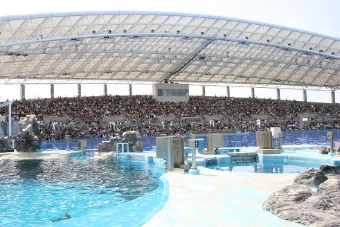 080810名古屋港水族館7-2
