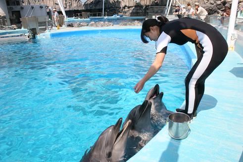 080810名古屋港水族館8