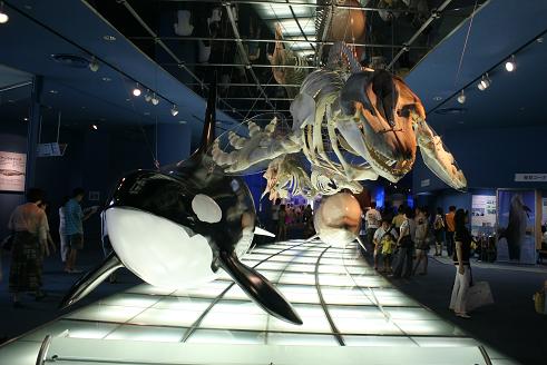 080810名古屋港水族館9