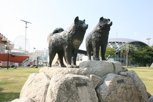 080810名古屋港水族館13