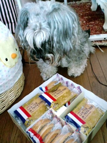 シナモン・・・もう頂いて良いデシュカ？.jpg