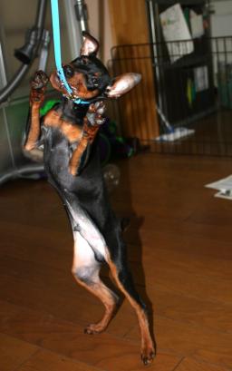 ドン＆リード２