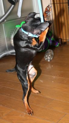 ドン＆リード３