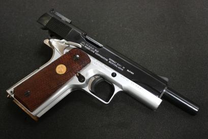 ＷＡ ガバカスタム２