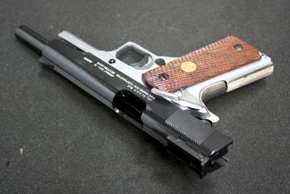 ＷＡガバカスタム３