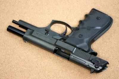 マルシンドルフィンキット３