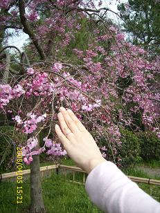 結婚指輪