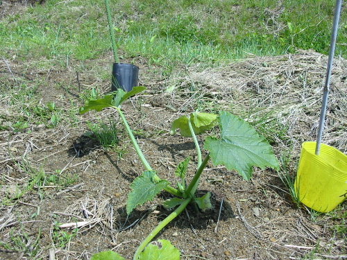 IMG_4740.jpg