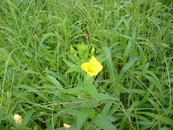 画像 080905 005.jpg